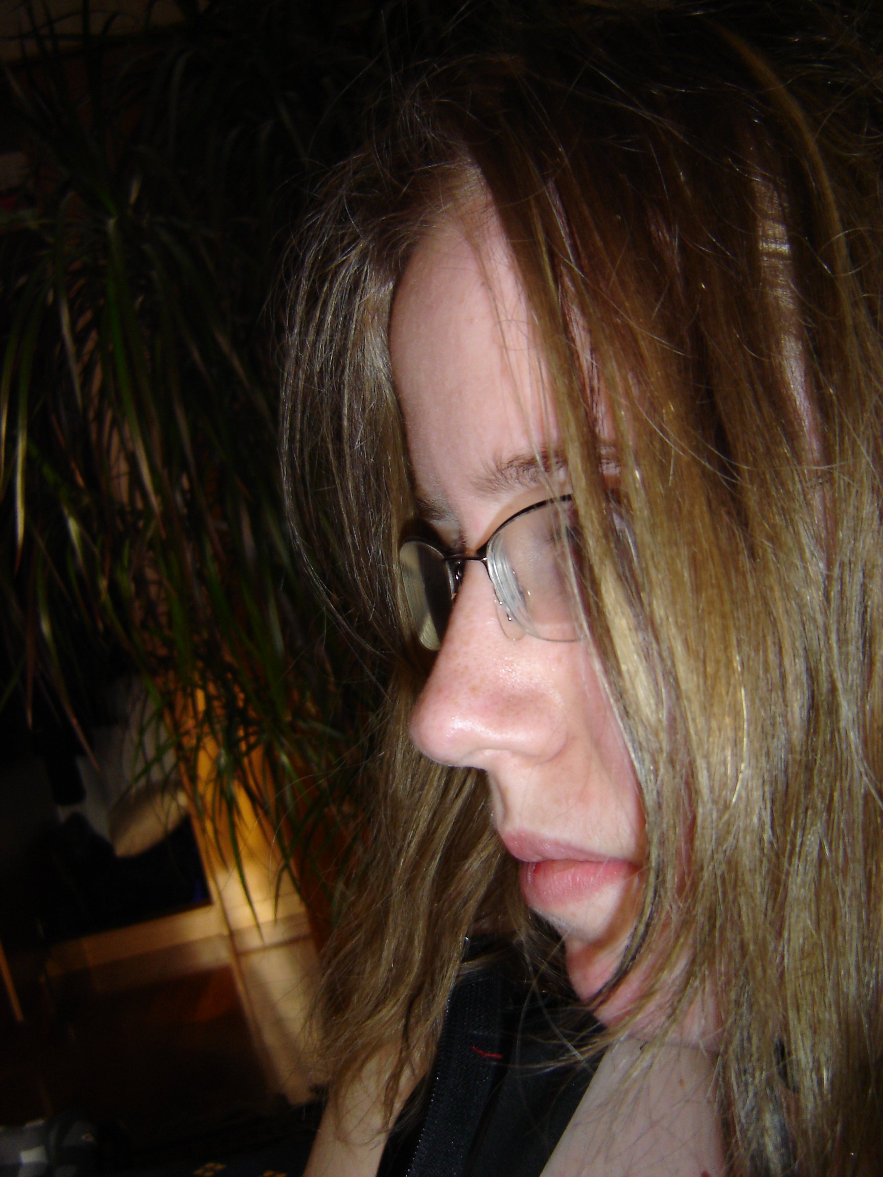 dsc00977.jpg
